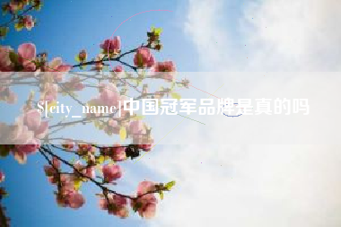 涟源中国冠军品牌是真的吗