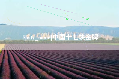涟源中国十七块金牌