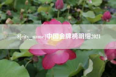 涟源中国金牌榜明细2021