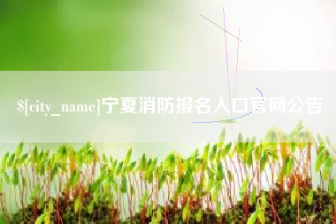涟源宁夏消防报名入口官网公告