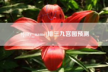 涟源排三九宫图预测