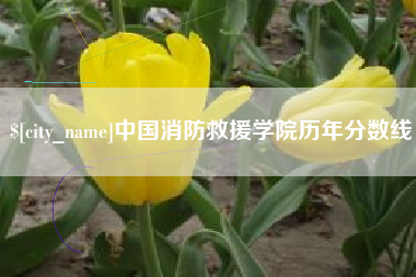 涟源中国消防救援学院历年分数线