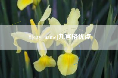 涟源九宫格优点
