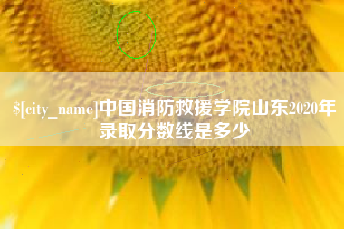 涟源中国消防救援学院山东2020年录取分数线是多少