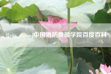 涟源中国消防救援学院百度百科