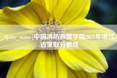 涟源中国消防救援学院2021年浙江省录取分数线