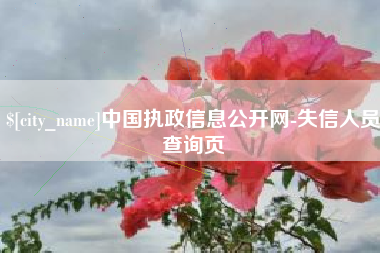 涟源中国执政信息公开网-失信人员查询页