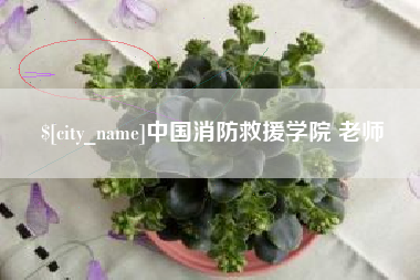 涟源中国消防救援学院 老师