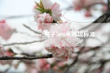 涟源男子5000米等级标准