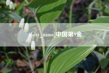 涟源中国第9金