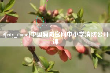 涟源中国消防官网中小学消防公开课