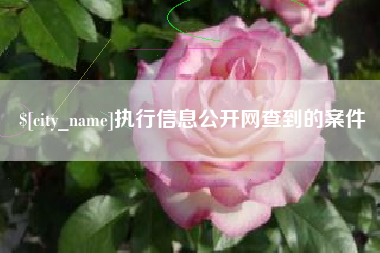 涟源执行信息公开网查到的案件