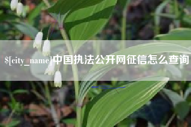 涟源中国执法公开网征信怎么查询