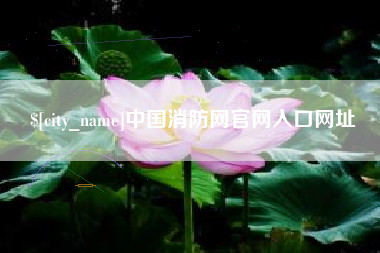 涟源中国消防网官网入口网址