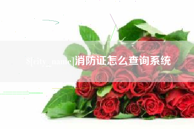 涟源消防证怎么查询系统