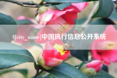 涟源中国执行信息公开系统