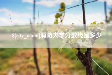 涟源消防大学分数线是多少