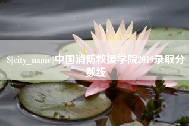 涟源中国消防救援学院2019录取分数线