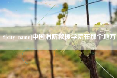 涟源中国消防救援学院在那个地方
