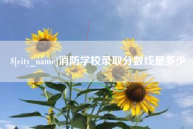 涟源消防学校录取分数线是多少