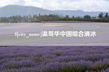 涟源温哥华中国组合滑冰