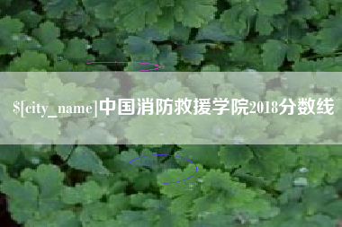 涟源中国消防救援学院2018分数线