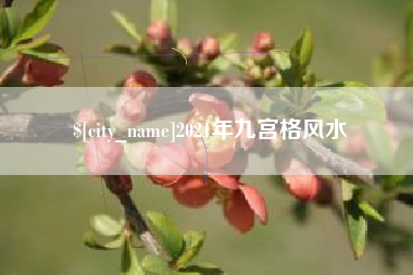 涟源2021年九宫格风水