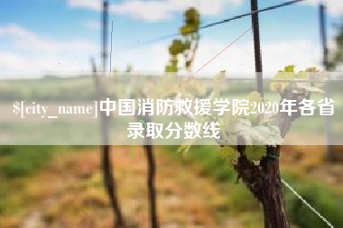涟源中国消防救援学院2020年各省录取分数线