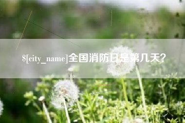 涟源全国消防日是第几天？