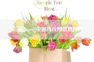 涟源中国执行网信息官网