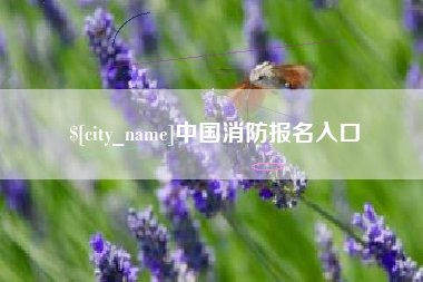 涟源中国消防报名入口