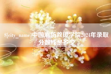 涟源中国消防救援学院2024年录取分数线是多少