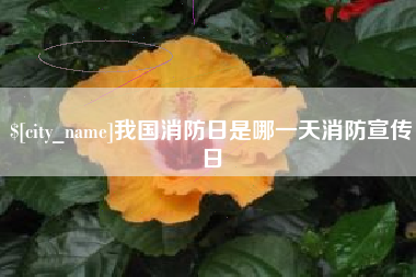 涟源我国消防日是哪一天消防宣传日