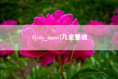 涟源九金是谁