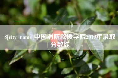 涟源中国消防救援学院2019年录取分数线