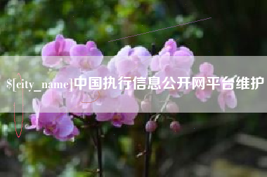 涟源中国执行信息公开网平台维护