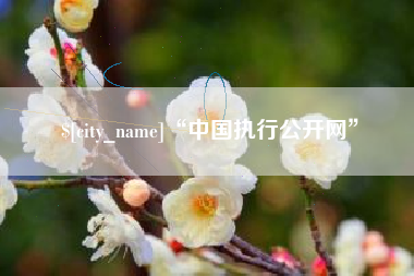 涟源“中国执行公开网”