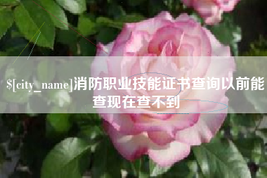 涟源消防职业技能证书查询以前能查现在查不到