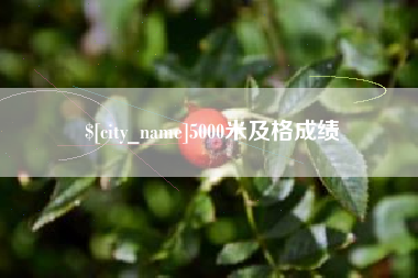 涟源5000米及格成绩