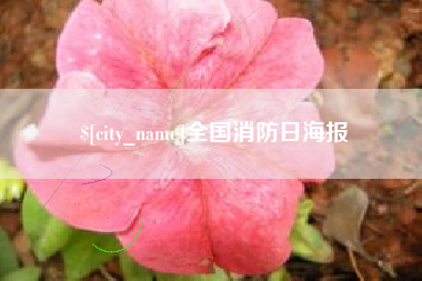 涟源全国消防日海报