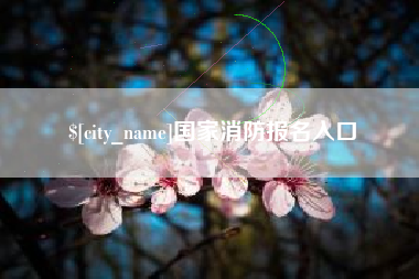 涟源国家消防报名入口