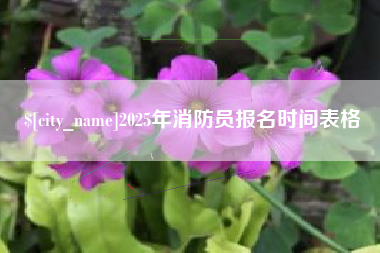 涟源2025年消防员报名时间表格