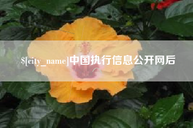 涟源中国执行信息公开网后