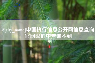 涟源中国执行信息公开网信息查询官网限消中查询不到