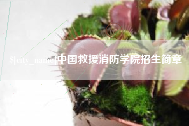 涟源中国救援消防学院招生简章
