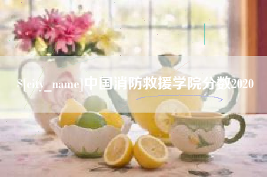 涟源中国消防救援学院分数2020