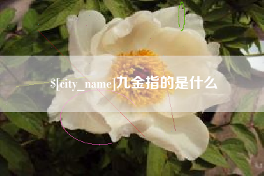 涟源九金指的是什么