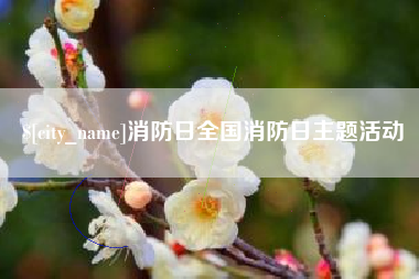 涟源消防日全国消防日主题活动