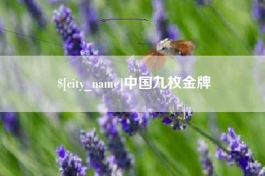 涟源中国九枚金牌