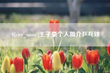 涟源王子豪个人简介乒乓球